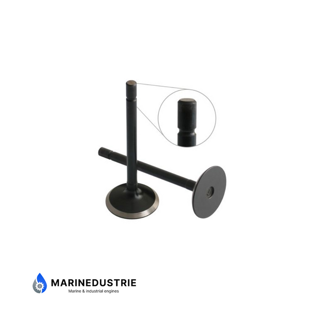 Perkins 104 403 404 Inlaatklep - 120166350 120166380 120166390