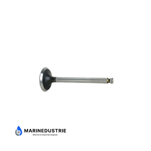 Yanmar inlaatklep 1GM(10) 2GM(20) 3GM(30) - 105225-11100
