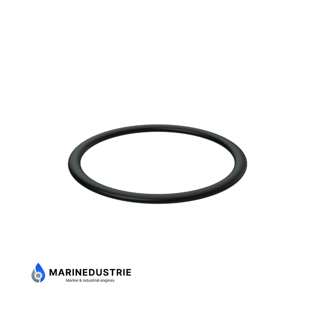 O-Ring Volvo Penta - 21273476