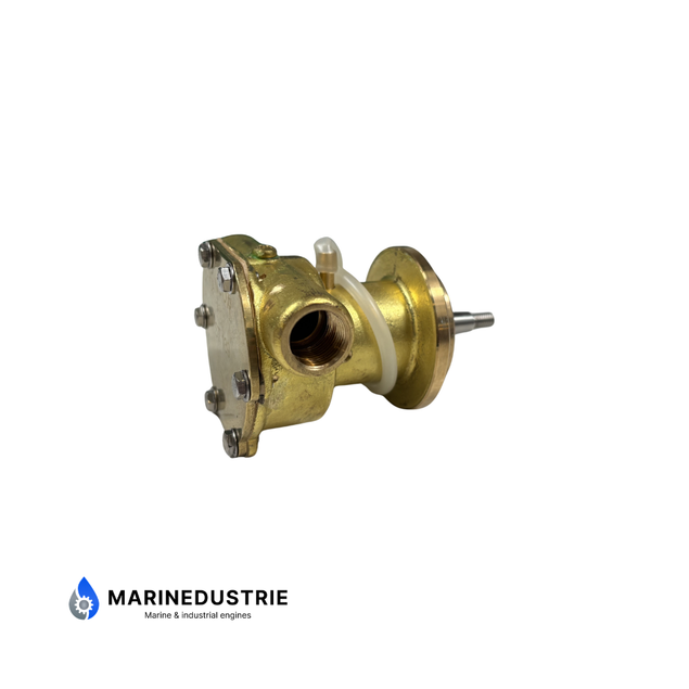 Impellerpomp Lombardini LDW Serie - ED0065845140-S