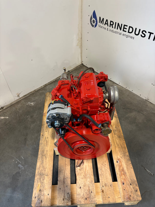Bukh DV20