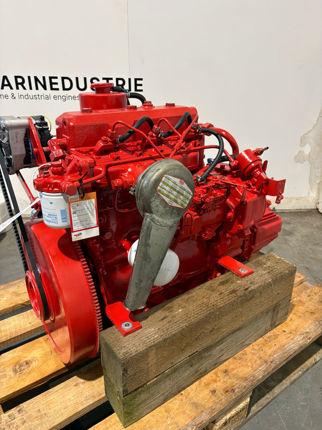 Bukh DV36