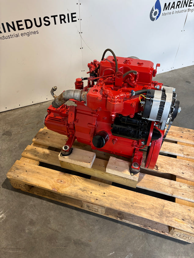 Bukh DV20