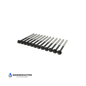 Cilinderkopbout set Volvo Penta D3-110 - D3-220 - 30777636