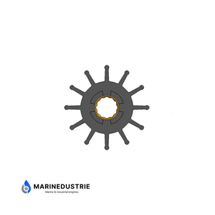Impellerkit Volvo Penta 3830459