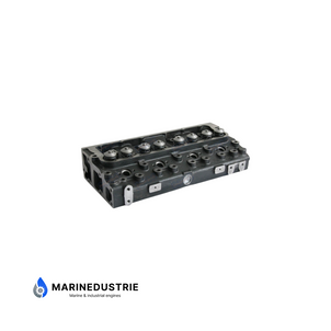 Cilinderkop Perkins 4.236 4.248 Compleet - ZZ80175 U58D0004