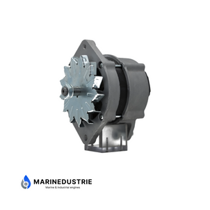 Nanni 4.200, 4.250TDI, N3.30, N4.100, N4.50, N4.60 5.250TDI Dynamo 12V 120A