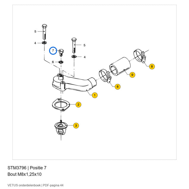 Bout M8x1,25x10 - Vetus - STM3796