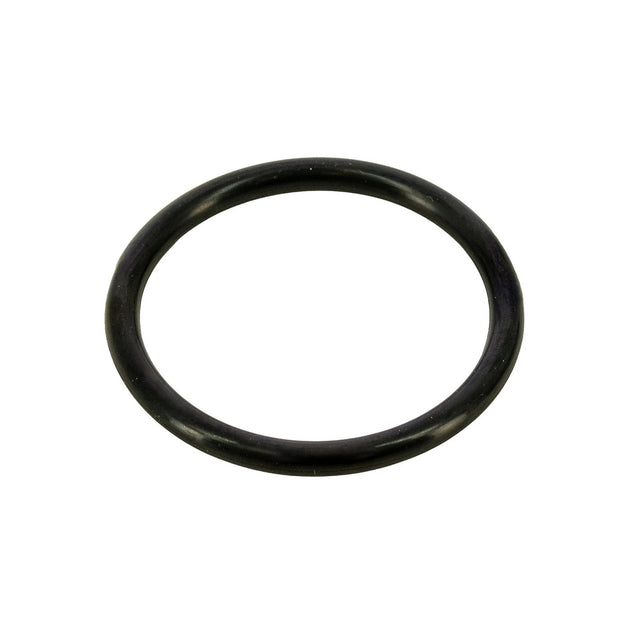 O-ring - Vetus - STM6120
