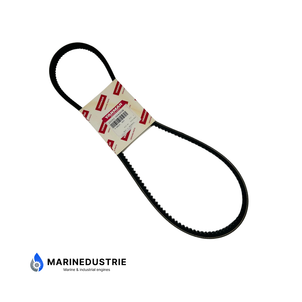 V-Snaar Yanmar -  25152-004300E A43