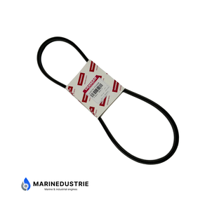 V-Snaar Yanmar 6LP - 119775-77260 119775-77260E HM39.5