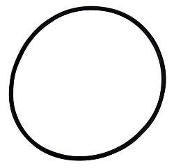 Volvo Penta O-Ring -  925258