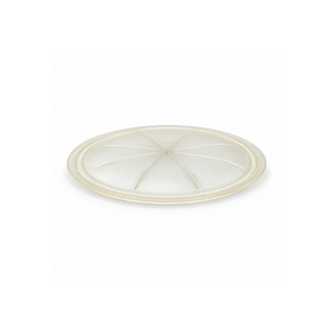 Volvo Penta D4 D6 zeewaterfilter tussenplaat - 3583339